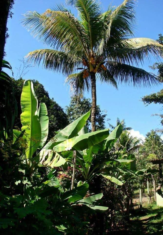 Pousada Villa Da Gama Парати Стая снимка