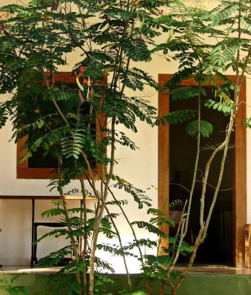 Pousada Villa Da Gama Парати Стая снимка