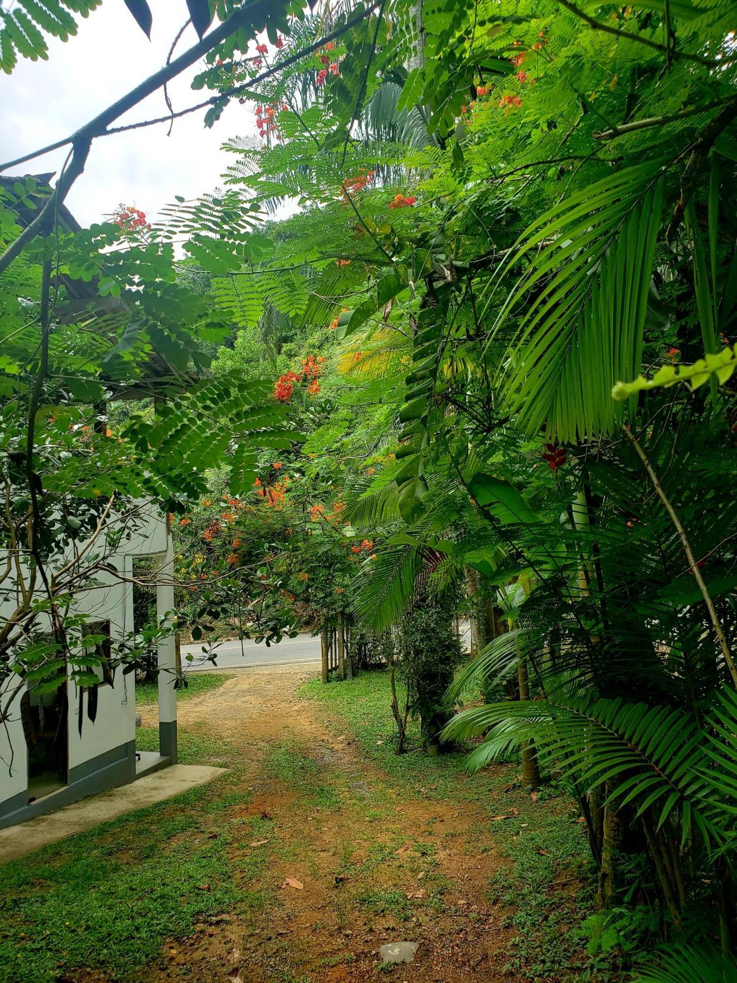 Pousada Villa Da Gama Парати Стая снимка